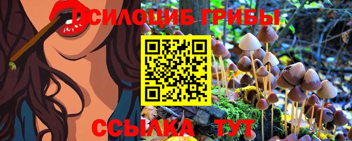 Псилоцибиновые грибы мицелий Чернушка